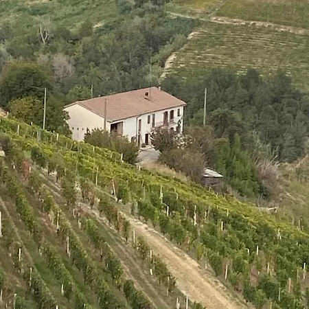 Appartement Il Muscate Cassinasco